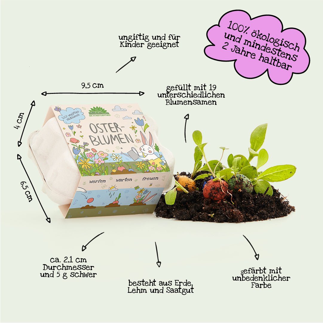 Osterblumen | Seed-Bombs | 6 Stück in Pappschachtel