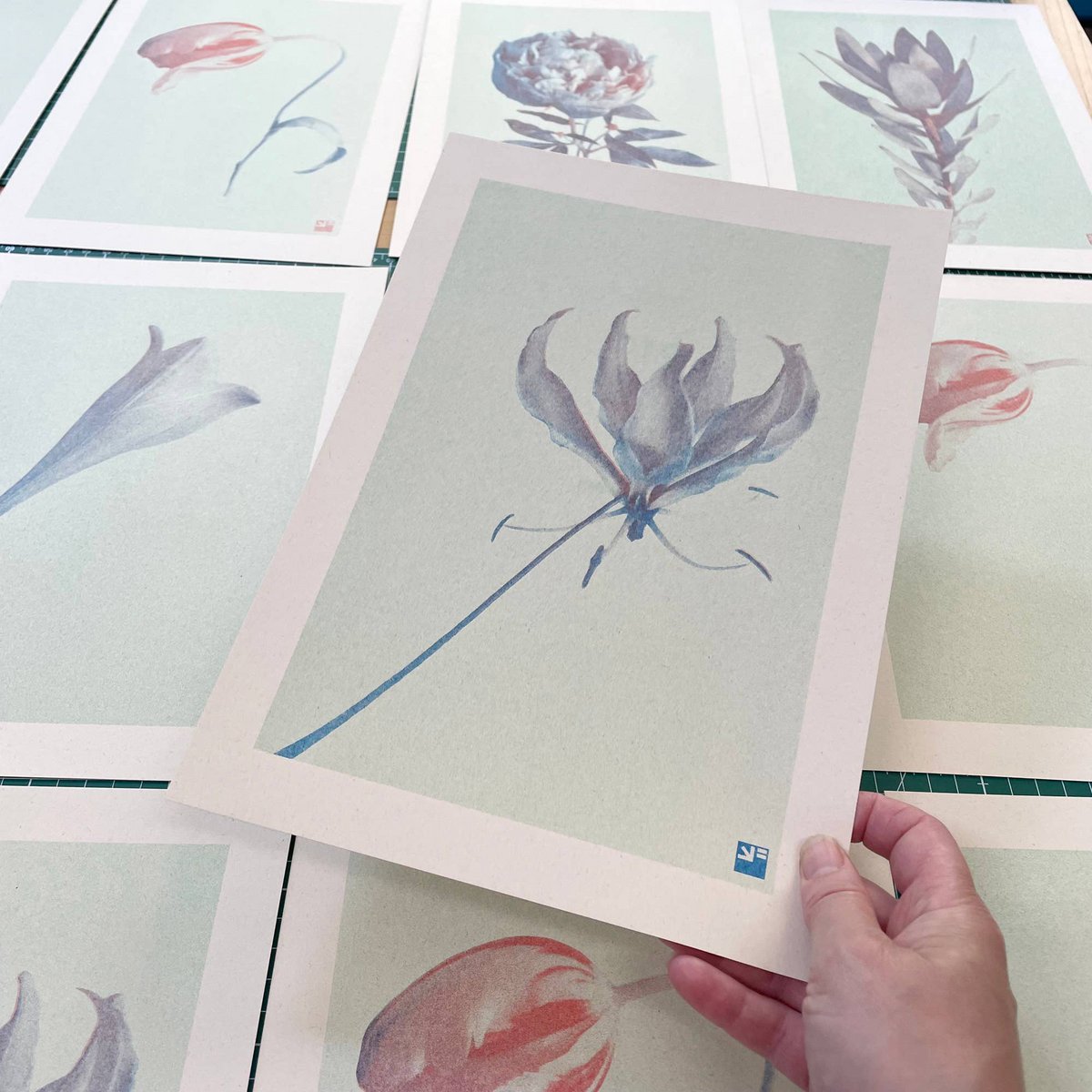 Poster | Kletterlilie | Risoprint | A4