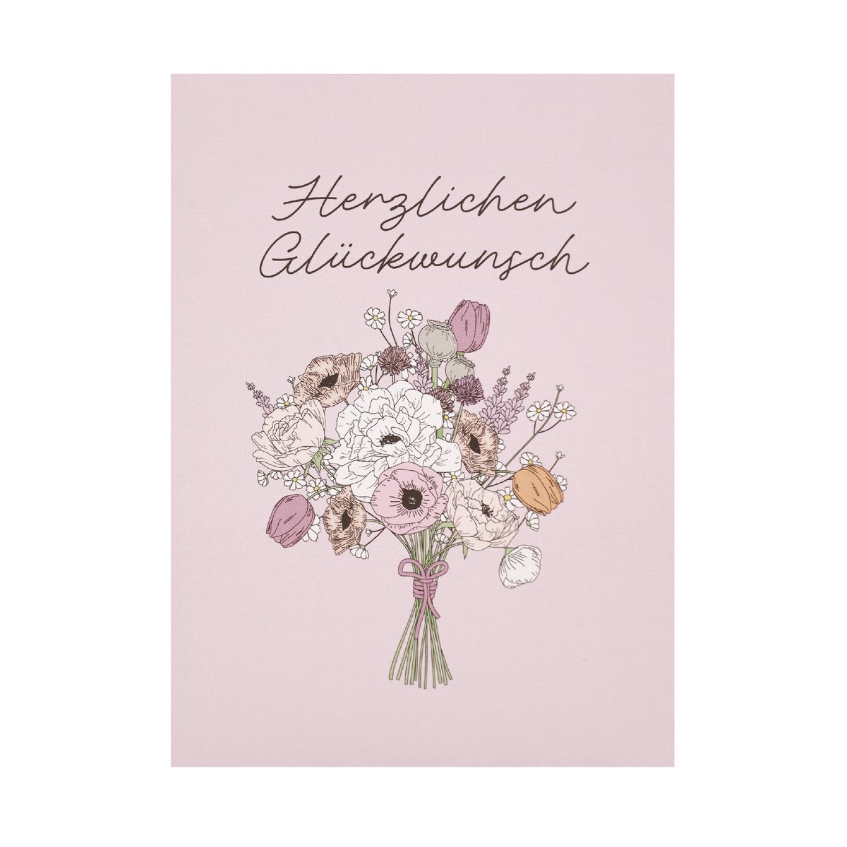 Sterndolden-Saat | Herzlichen Glückwunsch
