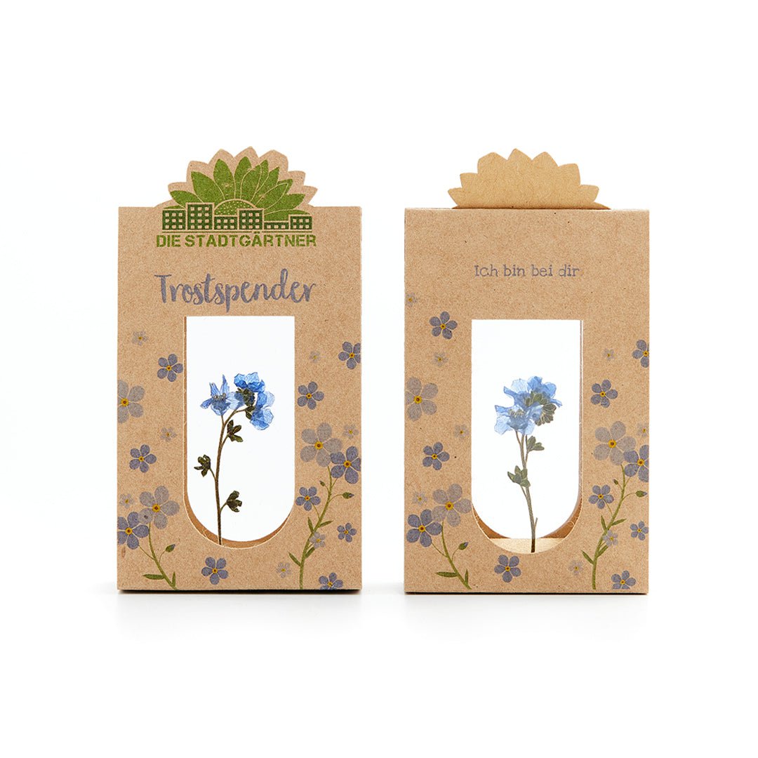 Trostspender | Vergissmeinnicht
