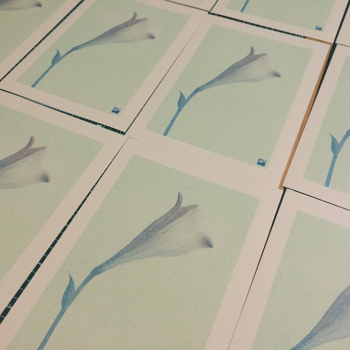 Poster | Lilie | Risoprint | A4