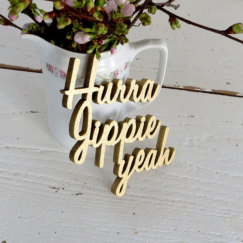 Schriftzug " Hurra Jippie yeah" 3d typo nogallery