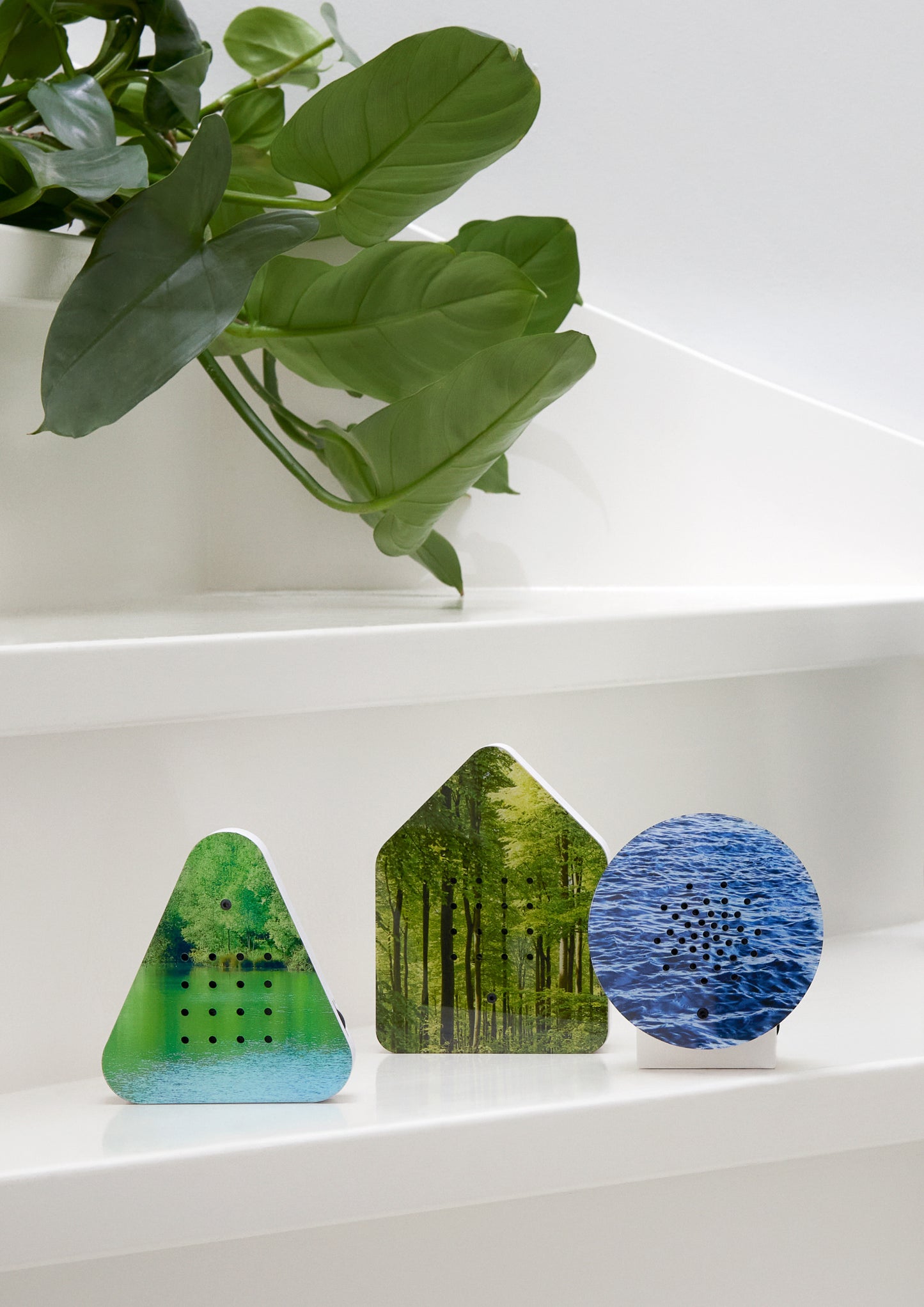 Lakeside Box - Dein Waldsee für zwischendurch.