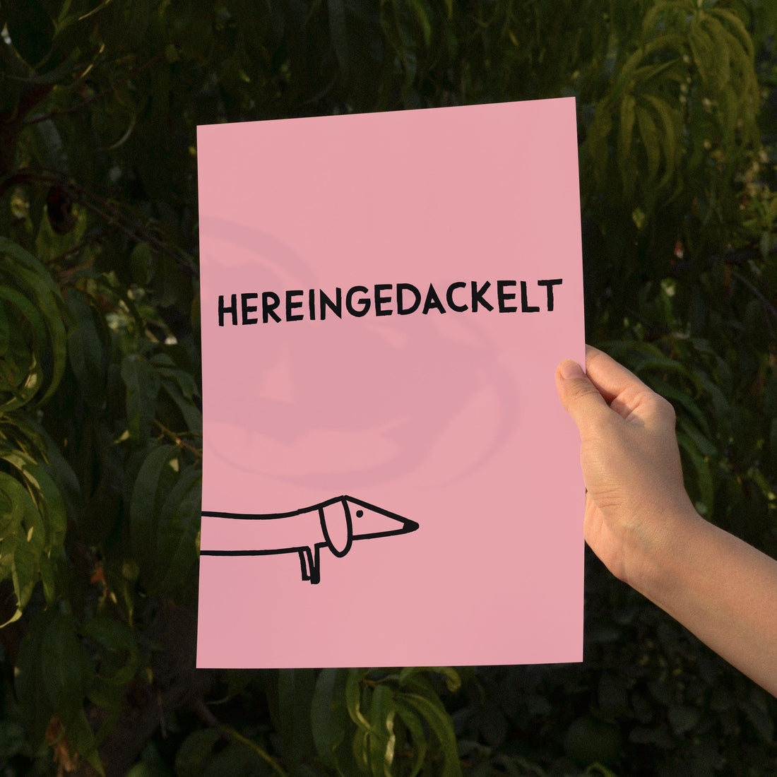 Hereingedackelt Poster vonSUSI