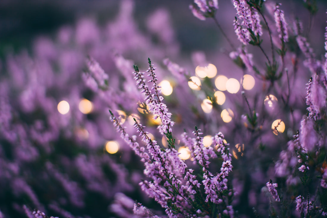 Wohlfühltipps zum Wochenende #aromatherapie