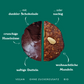 Dattel-Lebkuchen djoon