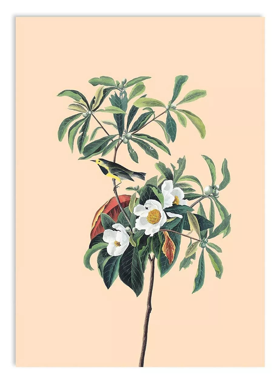 Poster A3 Floral 30x40