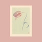 Poster | Tulpe | Risoprint | A4