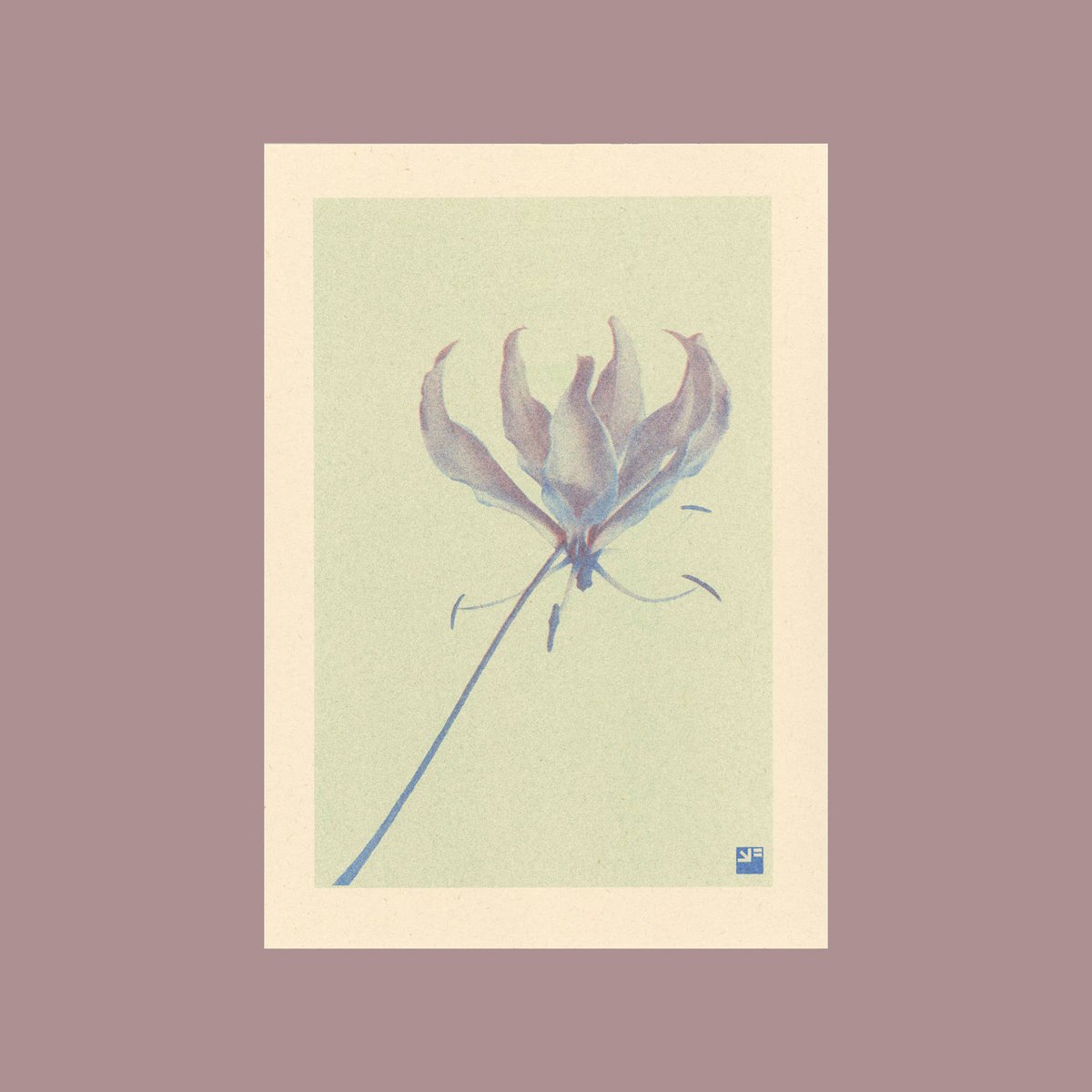 Poster | Kletterlilie | Risoprint | A4