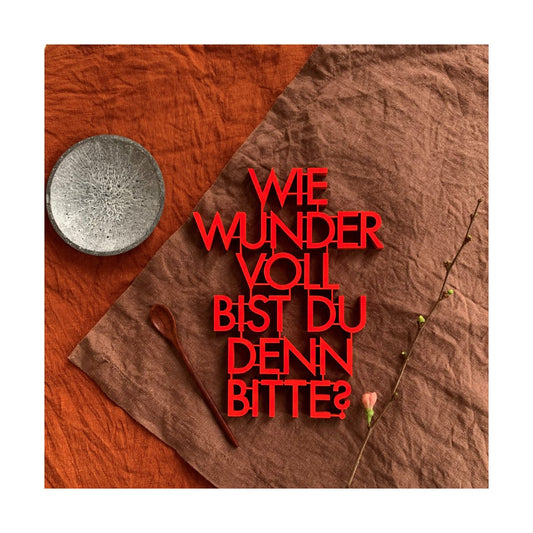 Schriftzug "Wie wundervoll bist du denn bitte" M nogallery