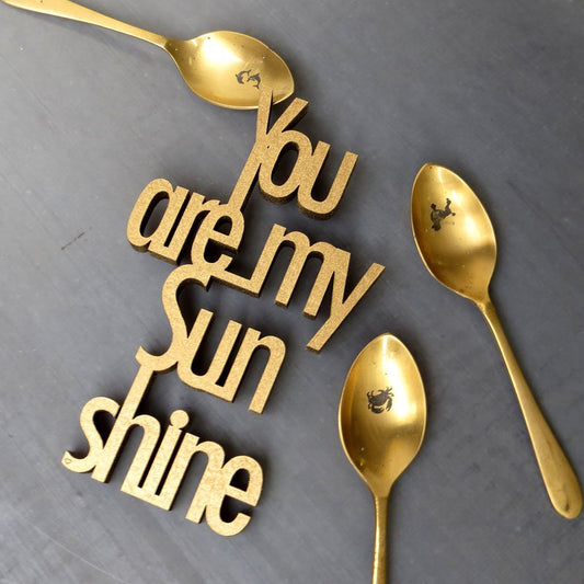 Schriftzug "You are my sunshine"