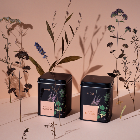 Nordic Tea BLOSSOM - Teebeutel