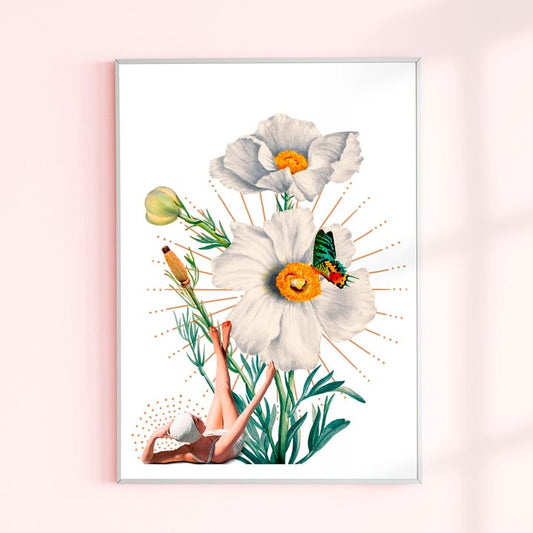 Poster Daisy Flora Florae