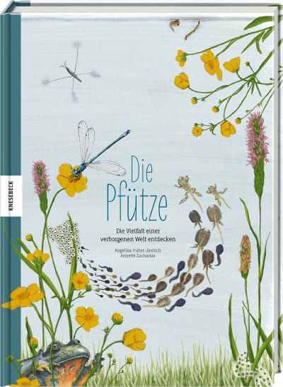 Cover Buch Die Pfütze
